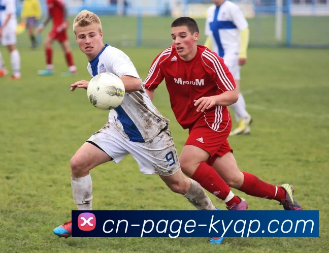 App Interface Preview